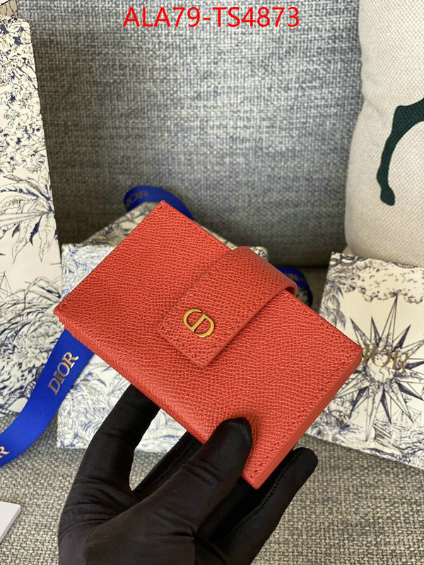 ID: TS4873 $: 79USD,