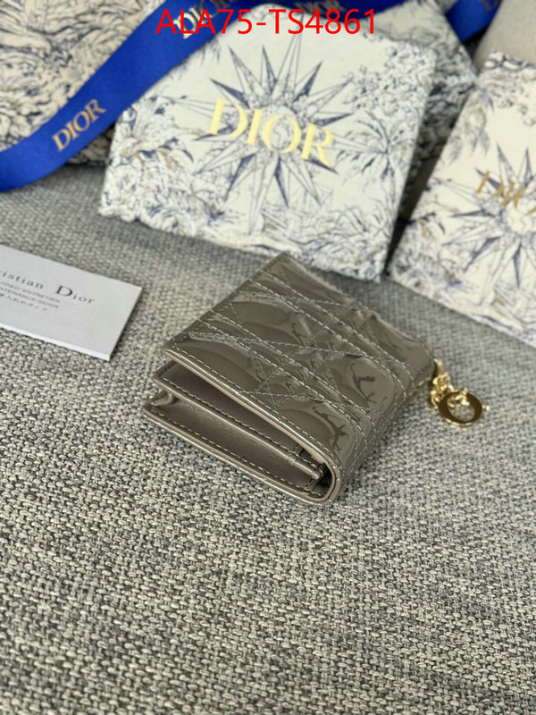 ID: TS4861 $: 75USD,