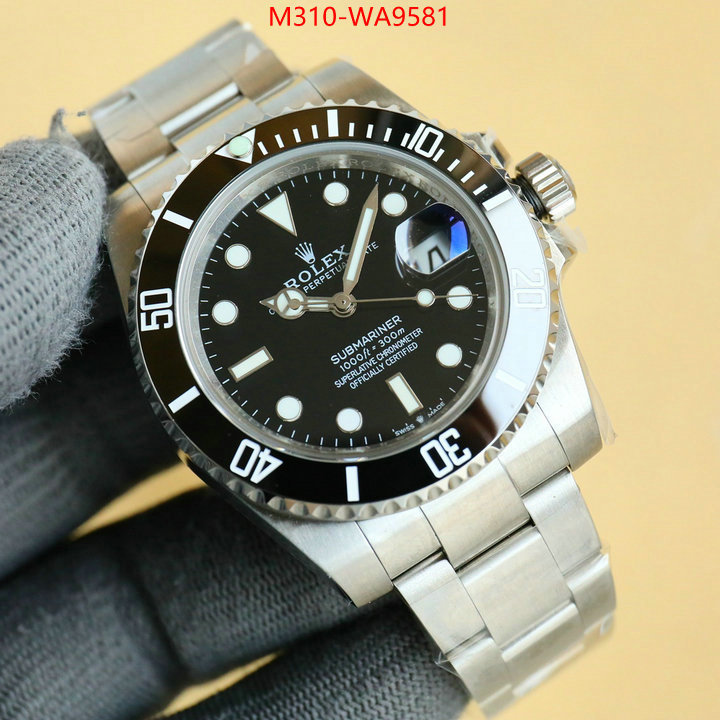ID: WA9581