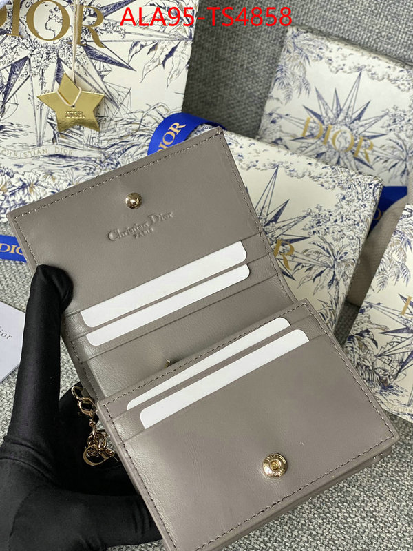 ID: TS4858 $: 95USD,