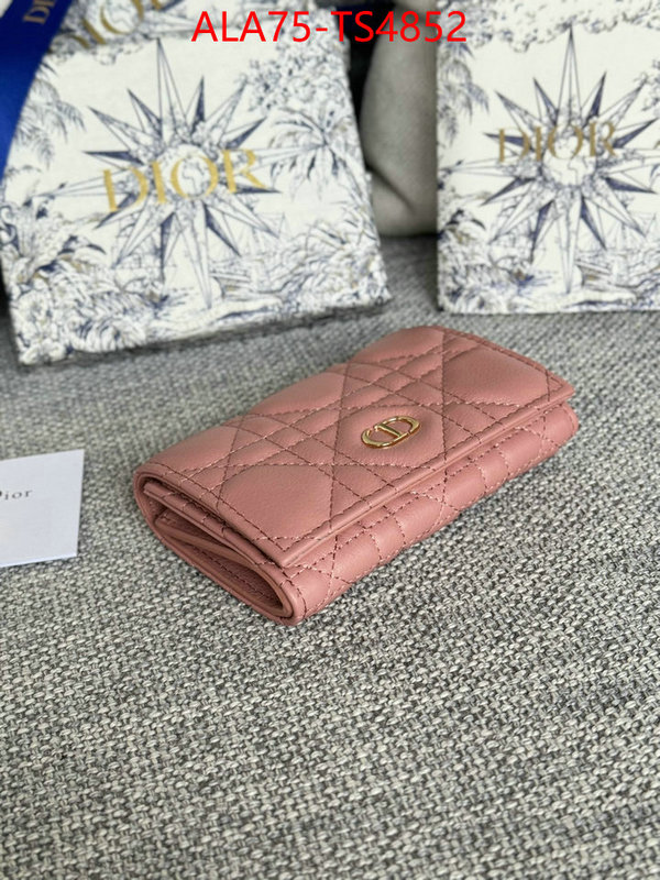 ID: TS4852 $: 75USD,