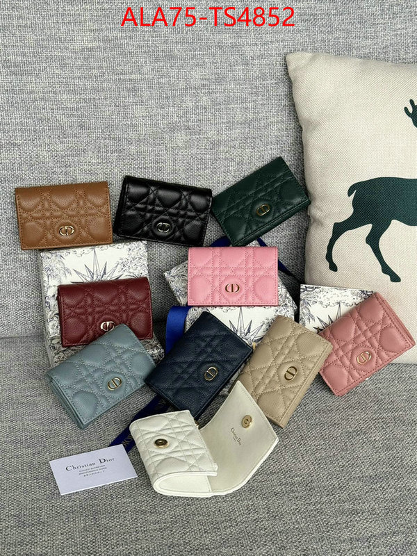 ID: TS4852 $: 75USD,