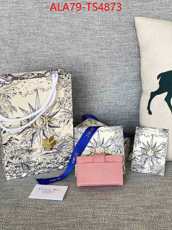 ID: TS4873 $: 79USD,