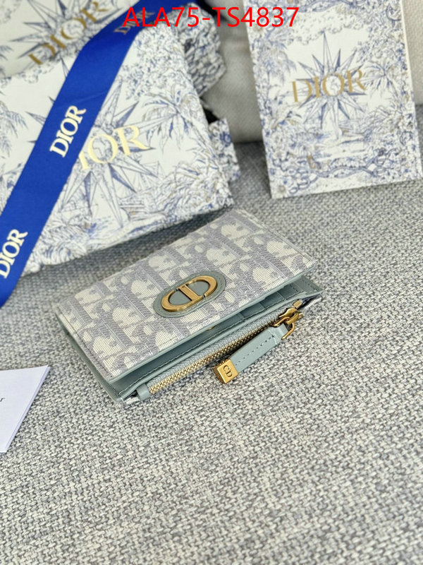 ID: TS4837 $: 75USD,
