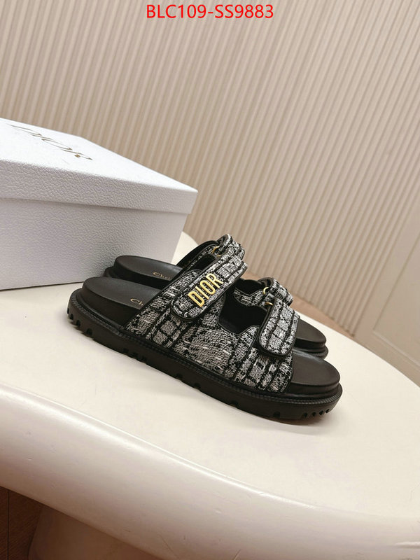 Women Shoes-Dior for sale online ID: SS9883 $: 109USD