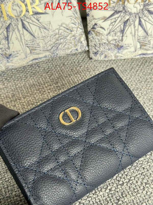 ID: TS4852 $: 75USD,