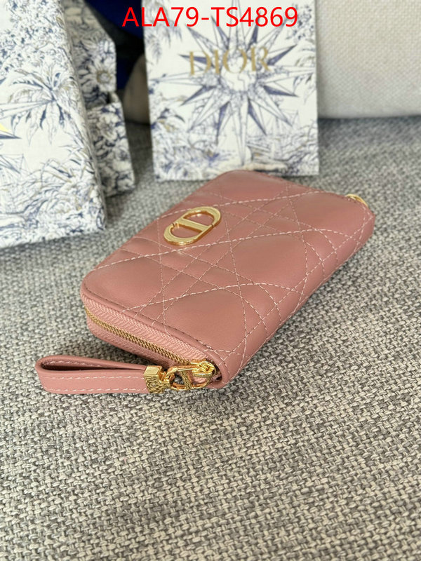 ID: TS4869 $: 79USD,