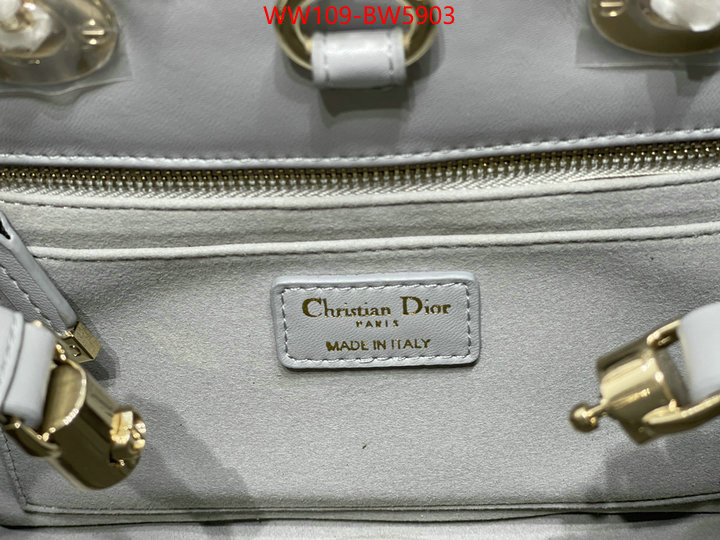 ID: BW5903 $: 109USD,