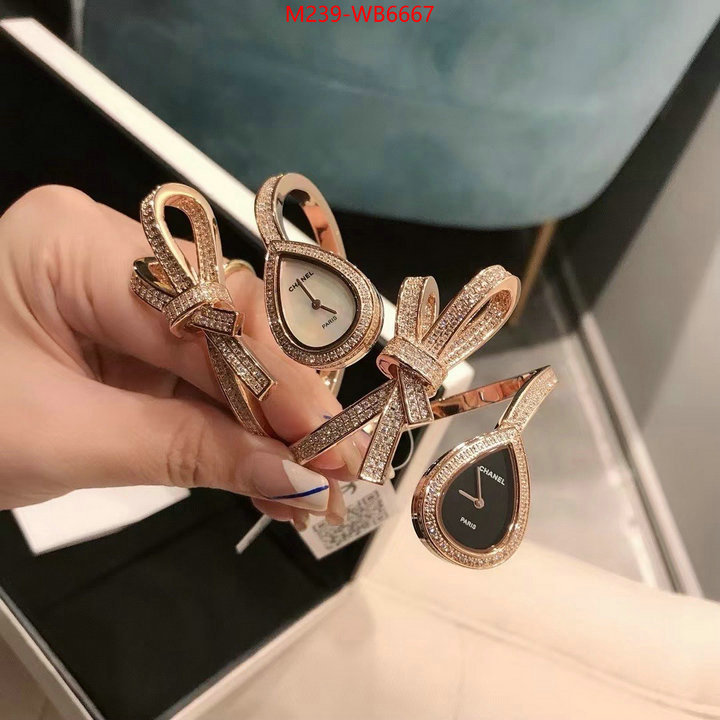 ID: WB6667