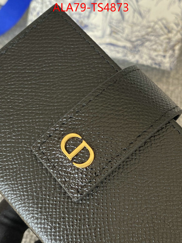 ID: TS4873 $: 79USD,