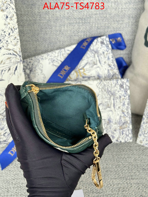 ID: TS4783 $: 75USD,