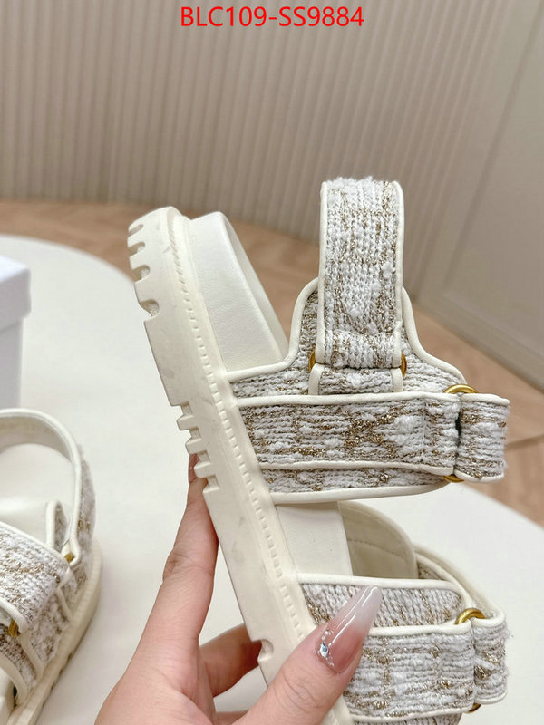 Women Shoes-Dior wholesale 2024 replica ID: SS9884 $: 109USD