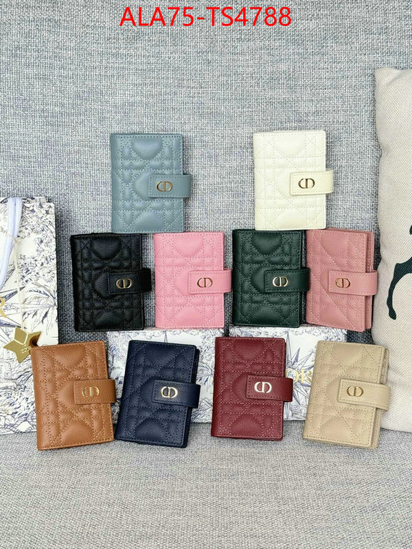 ID: TS4788 $: 75USD,