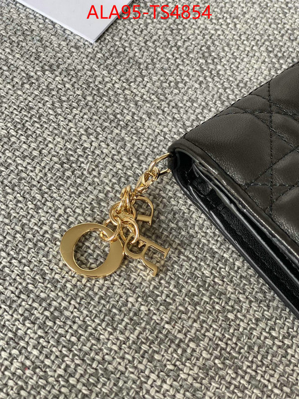 ID: TS4854 $: 95USD,