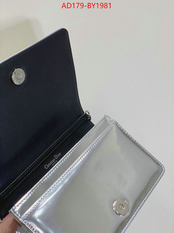 ID: BY1981 $: 179USD,