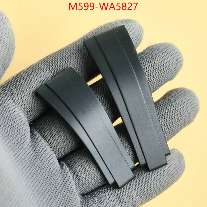 ID: WA5827