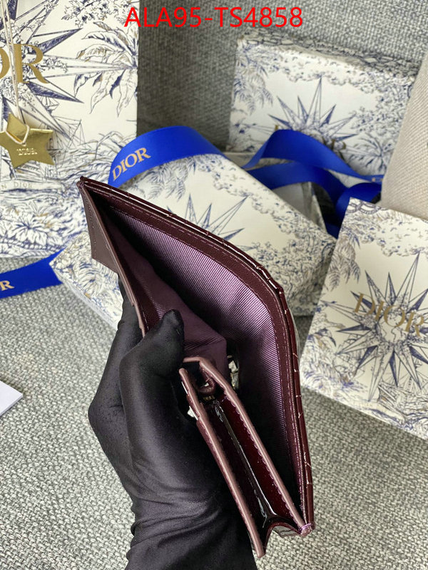 ID: TS4858 $: 95USD,