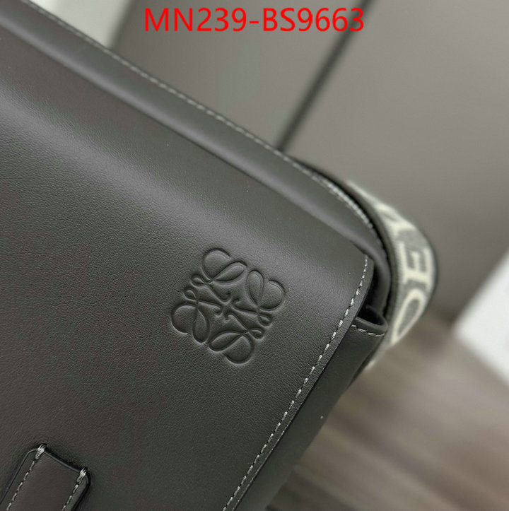 Loewe Bags(TOP)-Crossbody- luxury cheap ID: BS9663 $: 239USD,