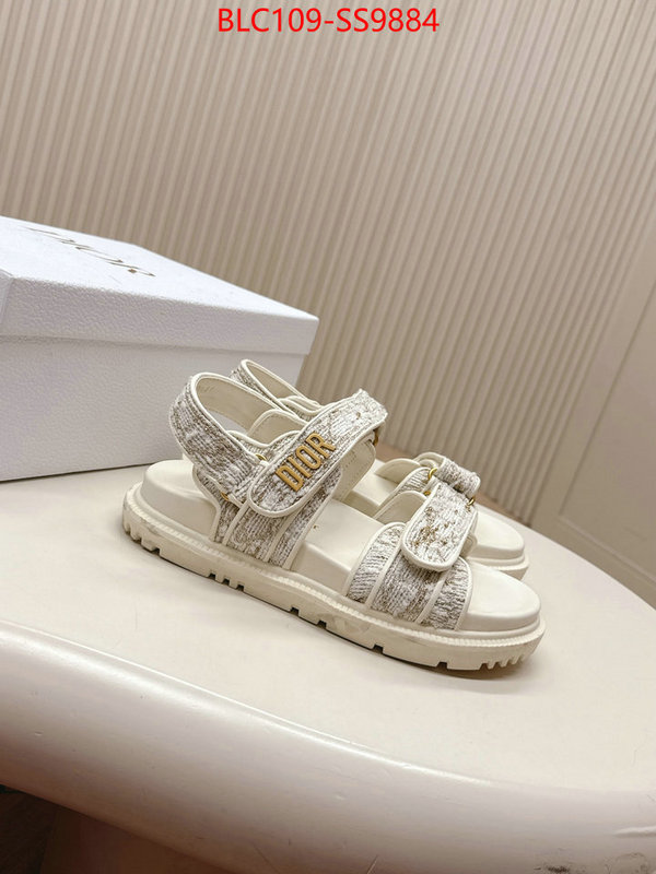 Women Shoes-Dior wholesale 2024 replica ID: SS9884 $: 109USD