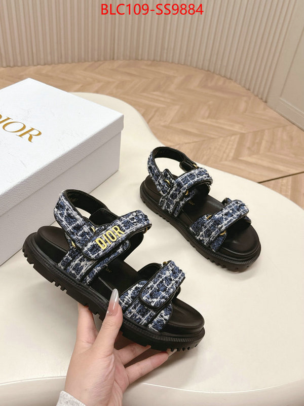 Women Shoes-Dior wholesale 2024 replica ID: SS9884 $: 109USD