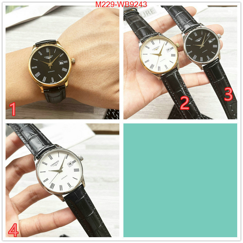 ID: WB9243