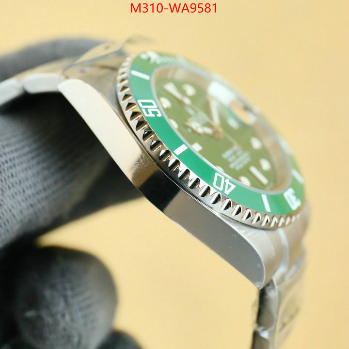 ID: WA9581