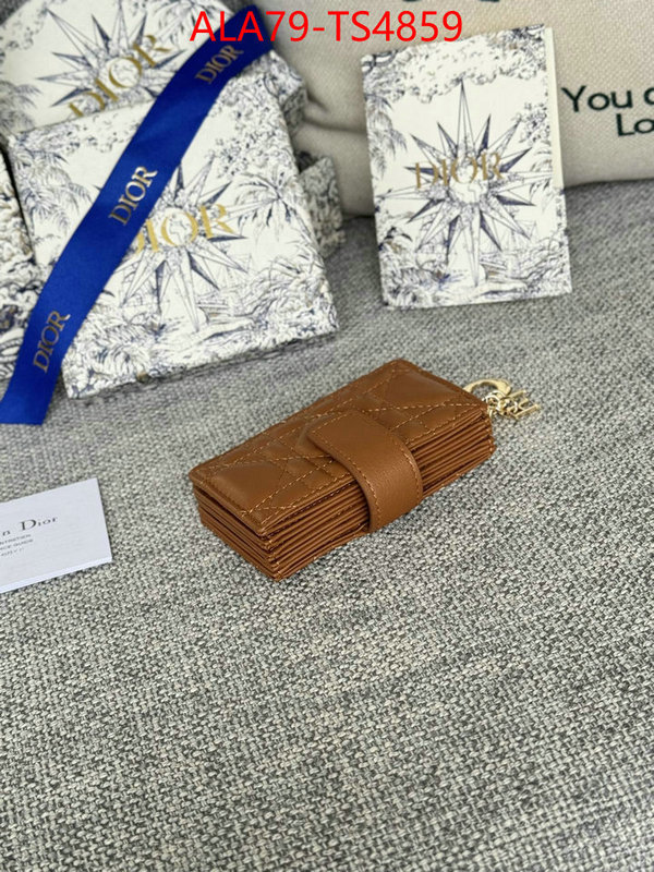 ID: TS4859 $: 79USD,