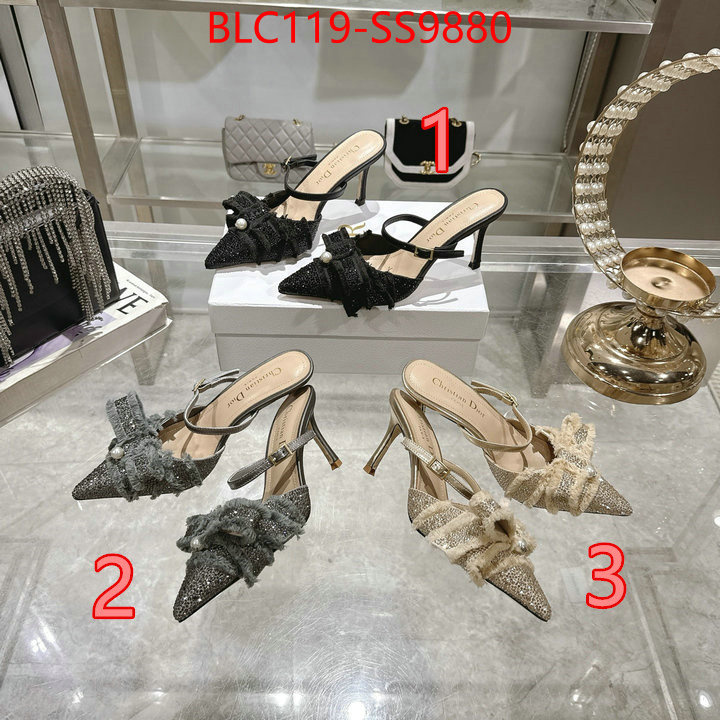 Women Shoes-Dior store ID: SS9880 $: 119USD