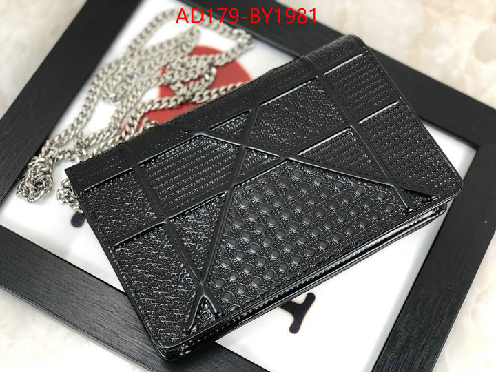 ID: BY1981 $: 179USD,