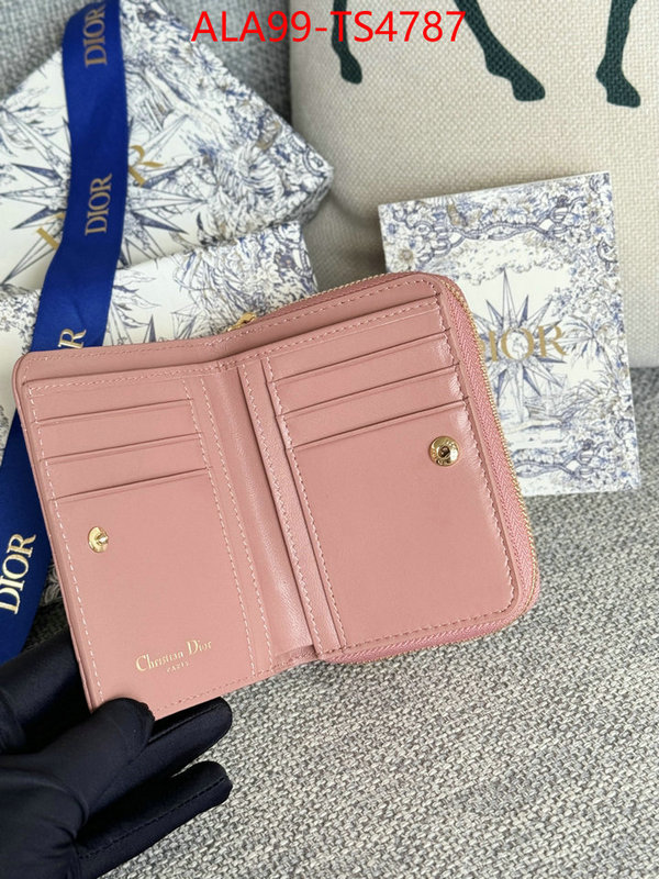 ID: TS4787 $: 99USD,