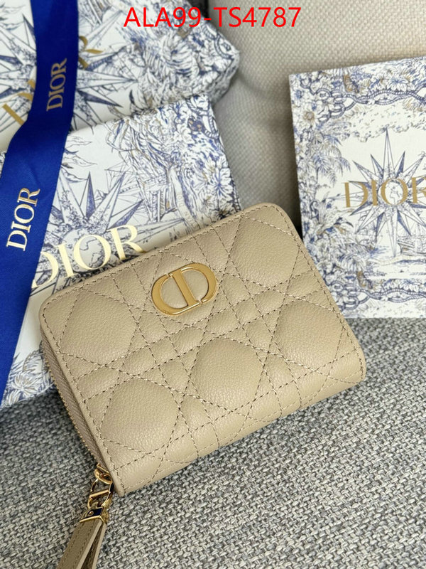 ID: TS4787 $: 99USD,