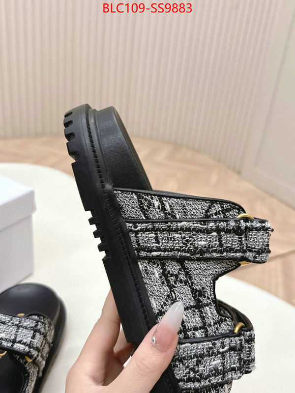 Women Shoes-Dior for sale online ID: SS9883 $: 109USD