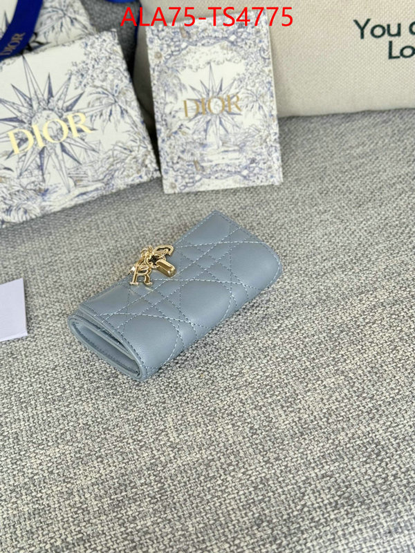 ID: TS4775 $: 75USD,