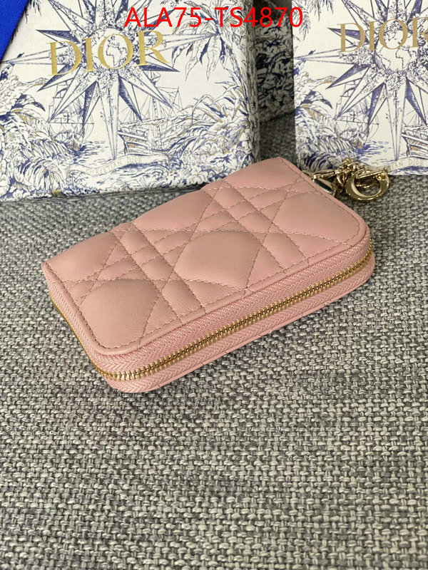 ID: TS4870 $: 75USD,