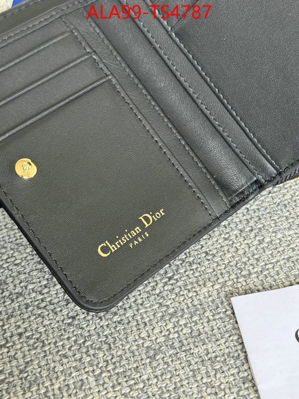 ID: TS4787 $: 99USD,