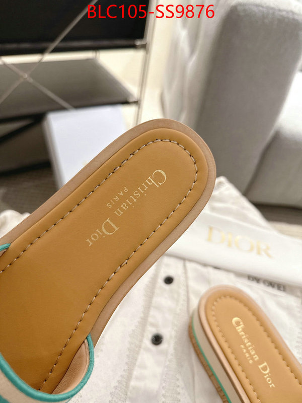 Women Shoes-Dior we provide top cheap aaaaa ID: SS9876 $: 105USD