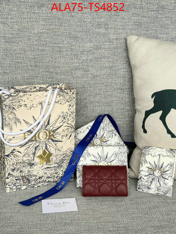 ID: TS4852 $: 75USD,