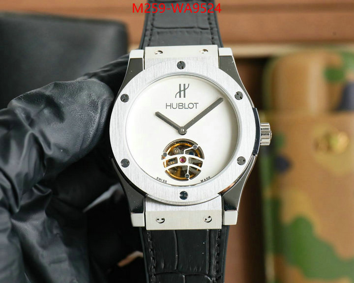 ID: WA9524