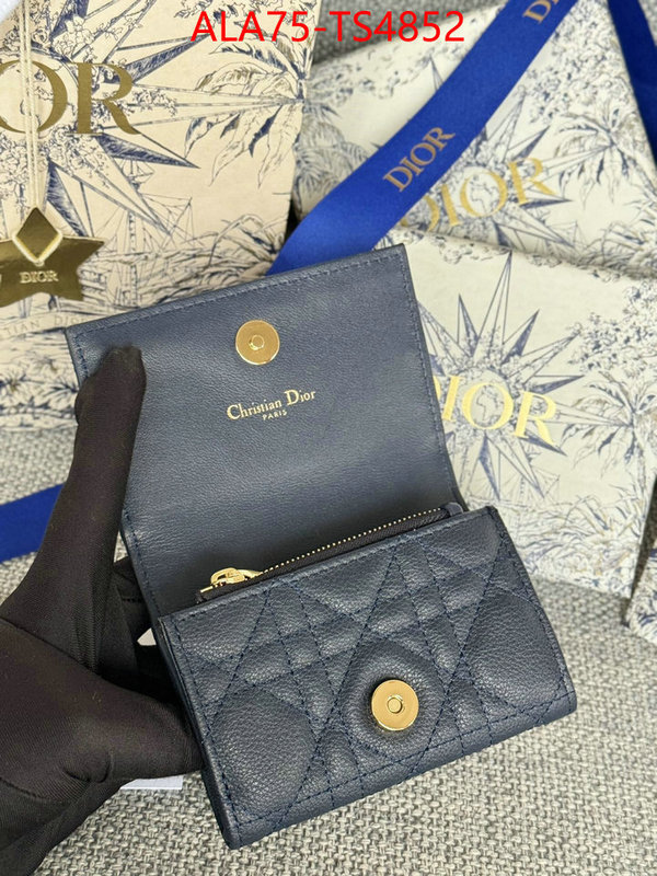 ID: TS4852 $: 75USD,