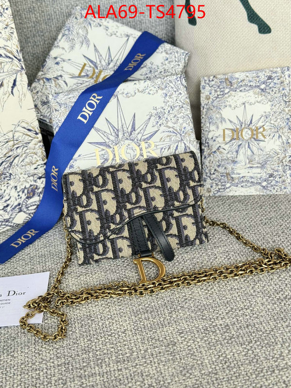 ID: TS4795 $: 69USD,