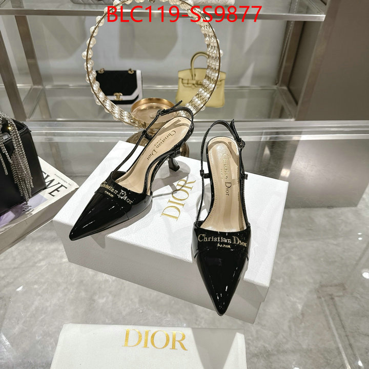 Women Shoes-Dior shop the best high authentic quality replica ID: SS9877 $: 119USD-shoes yupoo Women Shoes-Dior shop the best high authentic quality replica ID: SS9877 $: 119USD