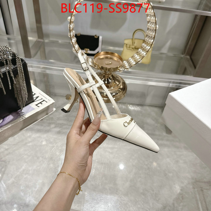 Women Shoes-Dior shop the best high authentic quality replica ID: SS9877 $: 119USD-shoes yupoo Women Shoes-Dior shop the best high authentic quality replica ID: SS9877 $: 119USD