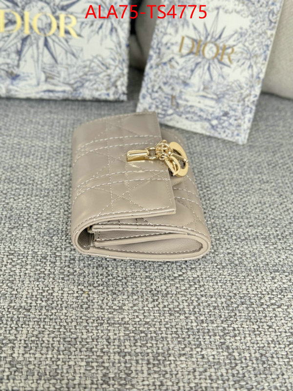 ID: TS4775 $: 75USD,