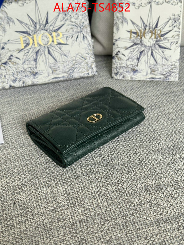 ID: TS4852 $: 75USD,