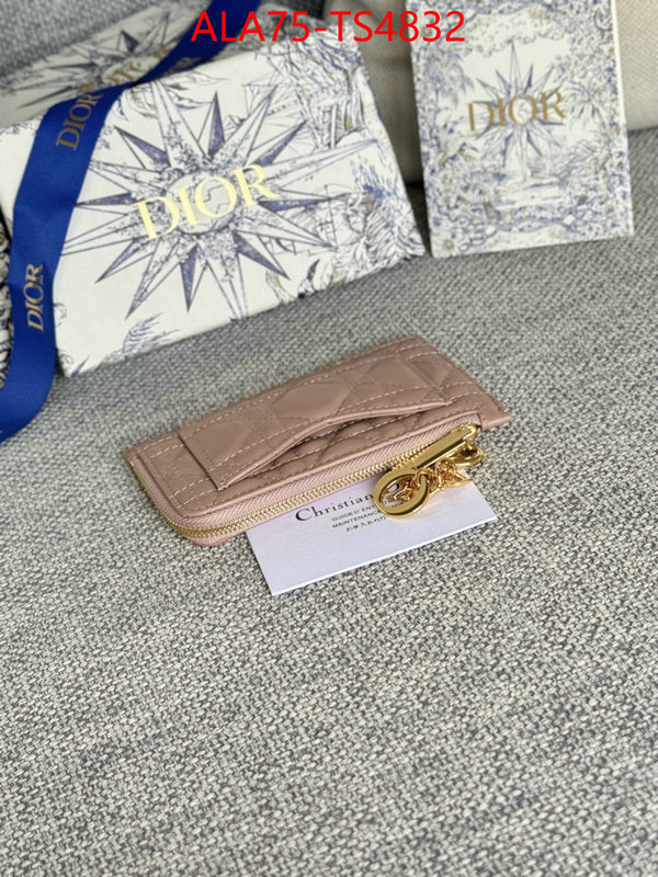 ID: TS4832 $: 75USD,