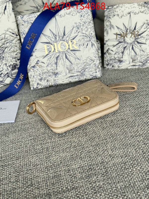 ID: TS4868 $: 79USD,