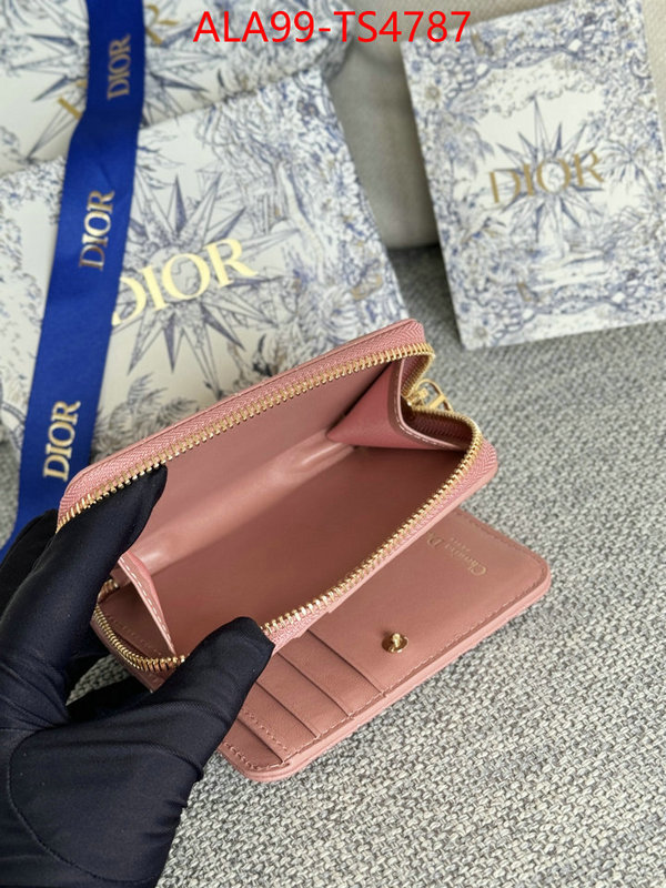 ID: TS4787 $: 99USD,