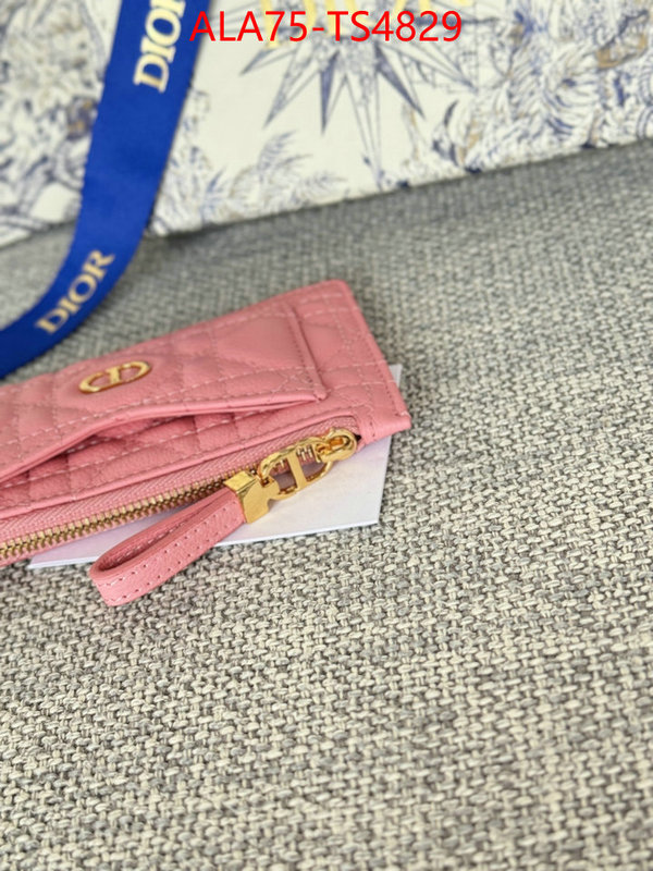 ID: TS4829 $: 75USD,