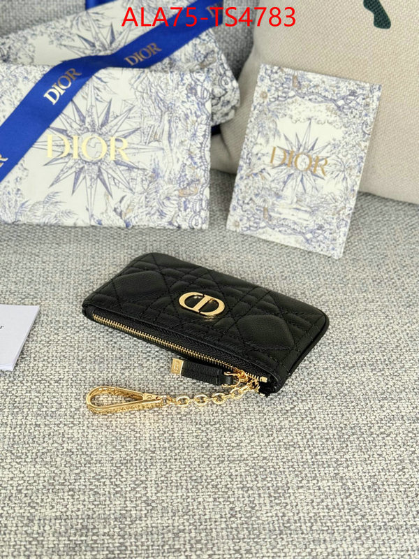 ID: TS4783 $: 75USD,