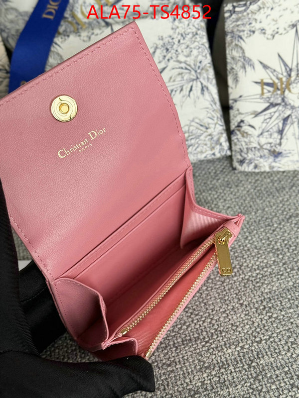 ID: TS4852 $: 75USD,